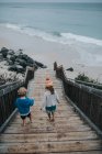 Pequenos amigos caminhando em direção ao mar — Fotografia de Stock