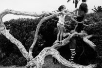 Дети играют вместе на дереве — стоковое фото