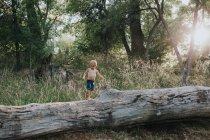 Garçon marchant seul dans la forêt — Photo de stock