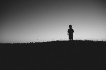 Silhouette eines Jungen, der im Feld steht — Stockfoto