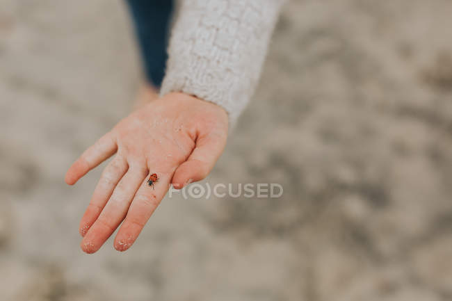Girl's palm showing the ladybug — Stock Photo