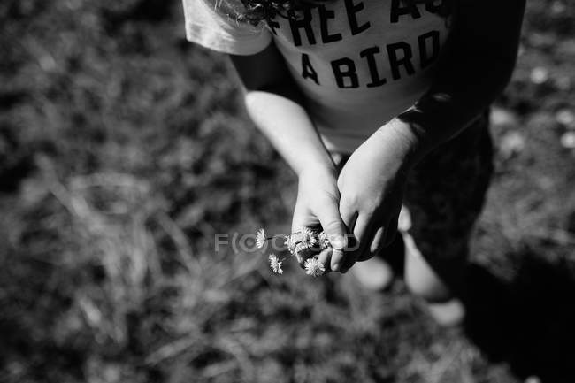 Menina segurando flores nas mãos — Fotografia de Stock