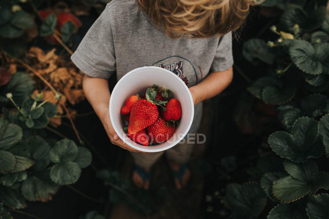 Garçon tenant bol plein de fraises fraîches — Photo de stock