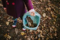 Дівчина тримає кошик з корою дерева — стокове фото