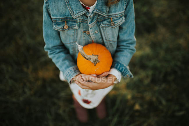 Girl holding small pumpkin in hands — Stock Photo