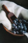 Blueberries in clay bowl — Stock Photo
