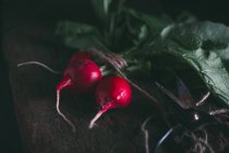 Mazzo di ravanelli freschi — Foto stock