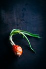 Green onion on dark — Stock Photo