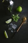 Ингредиенты для мохито в темноте — стоковое фото