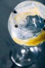 Gin tonic cocktail with lemon zest — Stock Photo