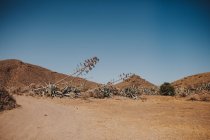 Route de campagne dans le désert — Photo de stock