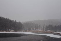 Queda de neve no lago da floresta — Fotografia de Stock