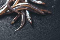 Deliciosas anguilas de arena - foto de stock