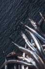 Deliciosas anguilas de arena - foto de stock