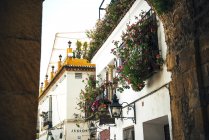Calle del barrio judío de Córdoba - foto de stock