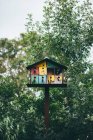 Buntes Vogelhaus und Bäume — Stockfoto
