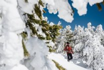 Hombre trekking en montaña nevada - foto de stock