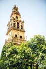Exterior of former Great Mosque of Cordoba — Stock Photo