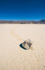 Сосновый камень на ипподроме Плая — стоковое фото