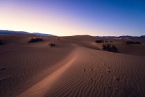 Mesquite Dunas planas de arena - foto de stock