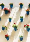 Vasos de flores com belas flores na parede — Fotografia de Stock