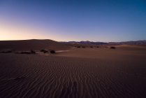 Dunes de sable plat Mesquite — Photo de stock