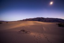 Dunes de sable plat Mesquite — Photo de stock