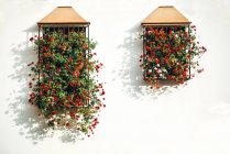 Blumentöpfe mit schönen Blumen an der Wand — Stockfoto