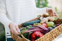 Hands holding basket with fruits and vegetables — Stock Photo