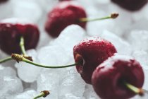 Deliciosas cerezas dulces sobre hielo - foto de stock