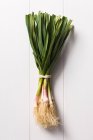 Bunch of young spring onions — Stock Photo