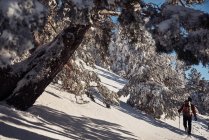 Alpinista na floresta montanhosa nevada — Fotografia de Stock