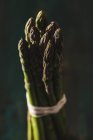 Lances d'asperges fraîches — Photo de stock