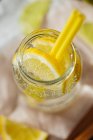 Frisches hausgemachtes Zitronenentgiftungsgetränk — Stockfoto