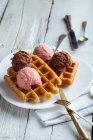 Waffles with ice cream — Stock Photo