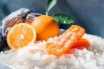Fresh oranges and ice cream in tray — Stock Photo