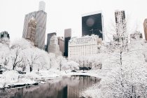 Central Park Cityscape — Fotografia de Stock