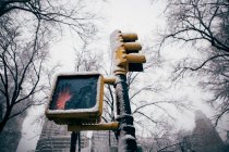 Traffic light at foggy winter day — Stock Photo