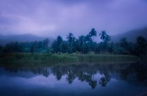 Tropical shore of lake in mist — Stock Photo