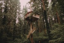 Дерев'яний будинок в яскравому світлі — стокове фото