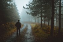 Человек идет по дороге в лесу — стоковое фото
