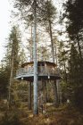 Maison sur les arbres dans les bois — Photo de stock