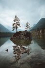 Скелі з деревами в озері — стокове фото