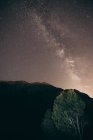Landscape at starry night. — Stock Photo