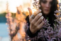 Жінка торкається брюнеток квітів — стокове фото