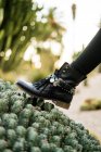 Leg stepping on cactus — Stock Photo
