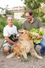 Веселые фермеры держат собранные овощи и позируют с собакой-ретривером в саду — стоковое фото