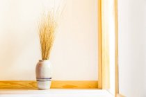 Керамічна ваза з сухими зерновими рослинами на стіні — стокове фото