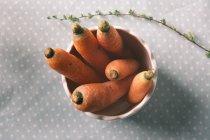 Свежая морковь в миске на скатерти в горошек с веточкой травы — стоковое фото