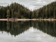 Bosque y muelle reflejándose en el lago - foto de stock